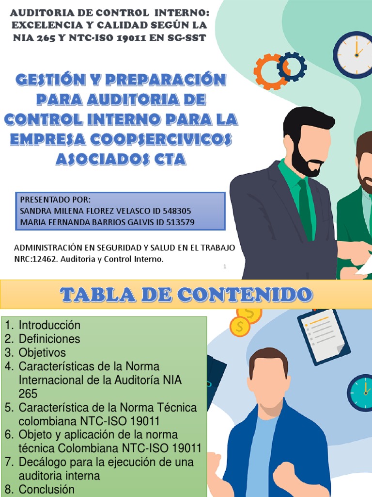 Cartilla de Auditoria de Control Interno | PDF | Auditoría ...