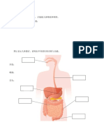 三年级科学 消化