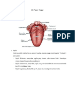 PR Fissure Tongue