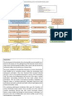 Diverticulitis Patho