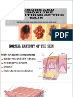 Tumors and Tumor-Like Conditions of The Skin