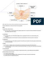 Note: Refer To The Structures Above and Familiarize The Functions of Each Parts