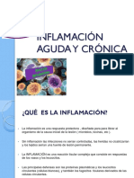 Inflamación Aguda y Crónica