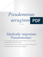 Pseudomonas aeruginosa identification