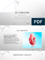 El Corazon