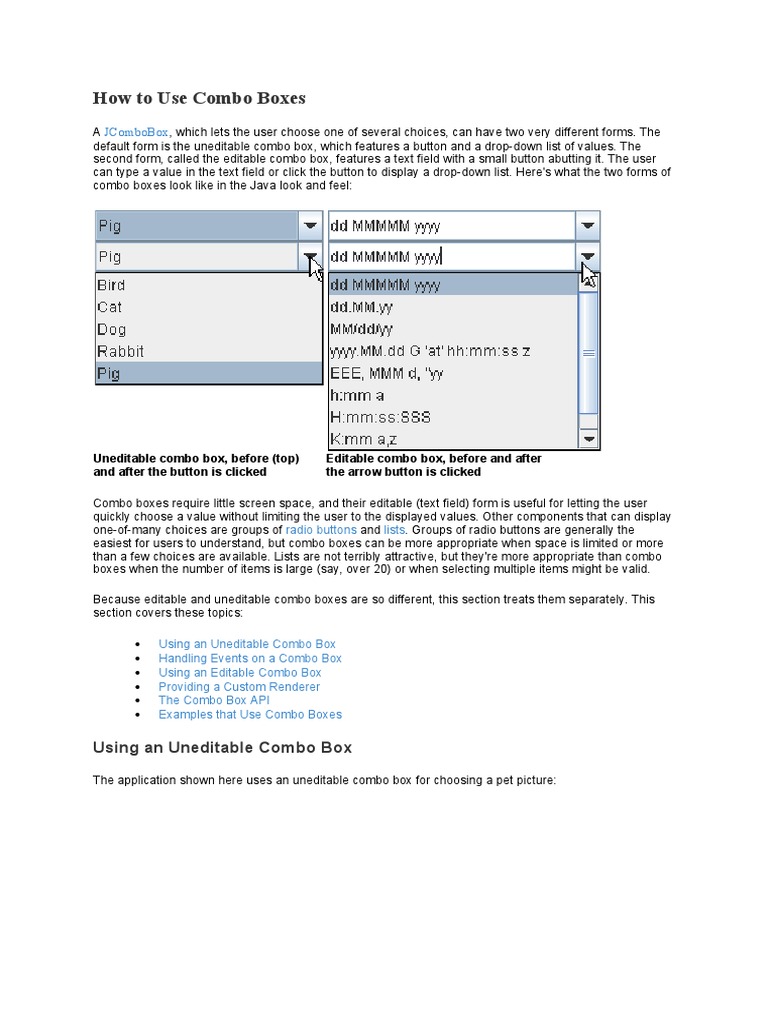 How To Use Combo Boxes PDF Boolean Data Type Java (Programming