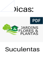 Suculentas