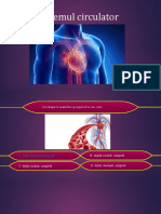 Sistemul Circulator Quiz