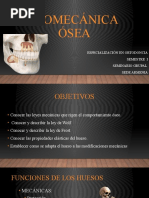 Biomecanica Osea 2