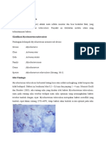 Mycobacterium Tuberculosis