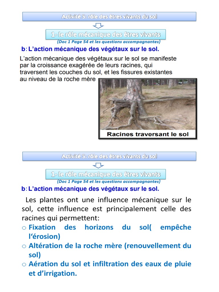 Influence des sols sur les plantes | PDF | Sol (pédologie) | Matériaux
