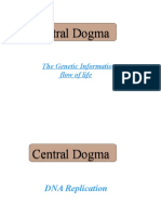 Central Dogma Central Dogma: The Genetic Information Flow of Life