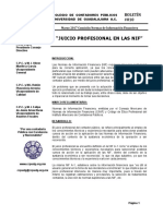 010 Boletin Comision NIF CCPUDG JUICIO PROFESIONAL EN LAS NIF