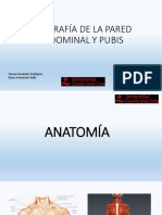 1.ecografia de Pared Abdominal Apuntes UCJC