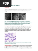 Download Bacillus Anthracis and Anthrax by Maryam Faisal SN4953233 doc pdf
