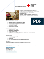DRC - 2002 - Engagmentprofil - Fiedlersee - Demenzbetreuung - Arheilgen
