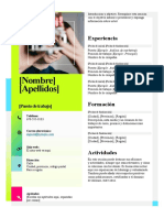 Plantilla CV 13 (A4)