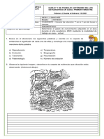 Biologia Prueba Diagnóstica Noveno