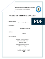 CASO-DE-ESTUDIO-DE-DOLOR-oficiial