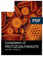 Compilation of Parasites