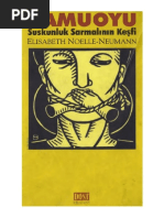 Suskunluk Sarmalı Kamuoyu Neumann