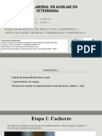 COMPETENCIA 3-4 CORTE 1 CLASE 3-4 ETAPAS DE VIDA DEL PERRO Y GATO - DIFERENCIA ENTRE URGENCIA Y  EMERGENCIA 