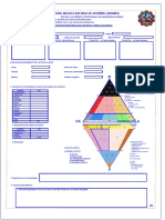 Ficha Petrografica Rocas Igneas Final