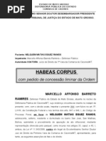 hc-20eca-20trafico-20internacao11[1]