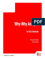Why-Why Analysis 2013 - PPM (CAP)