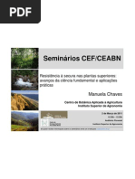 Seminário de Manuela Chaves