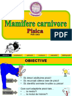 1. Mamifere carnivore 2016-2017