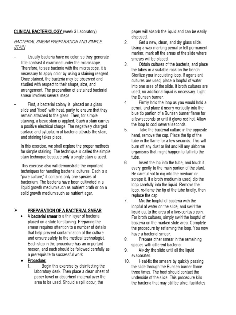 Week 3 Bacterial Smear Preparation and Simple Stain | PDF | Staining |  Bacteria