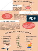 Infografia Desarrollo Prenatal y Postnatal