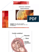 Liquido Amniotico