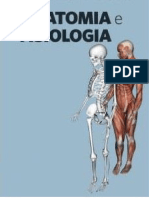 Resumo Matéria Teórica Anatomia