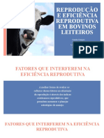 Reprodução e Eficiencia Reprodutiva e Bovinos Leiteiros