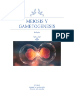 Meiosis y Gametogenesis