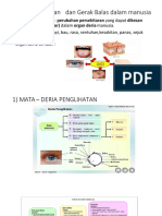 1.2 Mata (Nota)