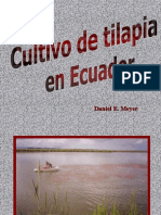 TilapiaEcuador