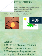 Light - Independent Reaction 5