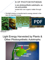 Almost All Plants Are Photosynthetic Autotrophs, As Are Some Bacteria and Protists
