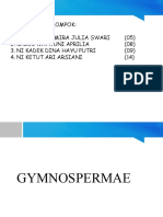 Gymnospermae 2