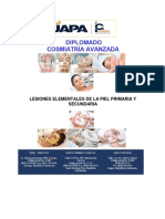 Lesiones Elementales de La Piel. Primaria y Secundaria PDF