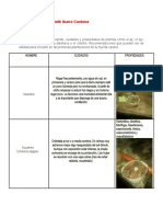 Actividad 7 y 8 Tecnología