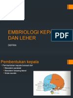 Embriologi Kepala Dan Leher