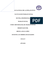 METODOLOGIA Proceso Mely Terminado