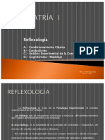 2011 Clase 5 Reflexologia Alba Adrianza