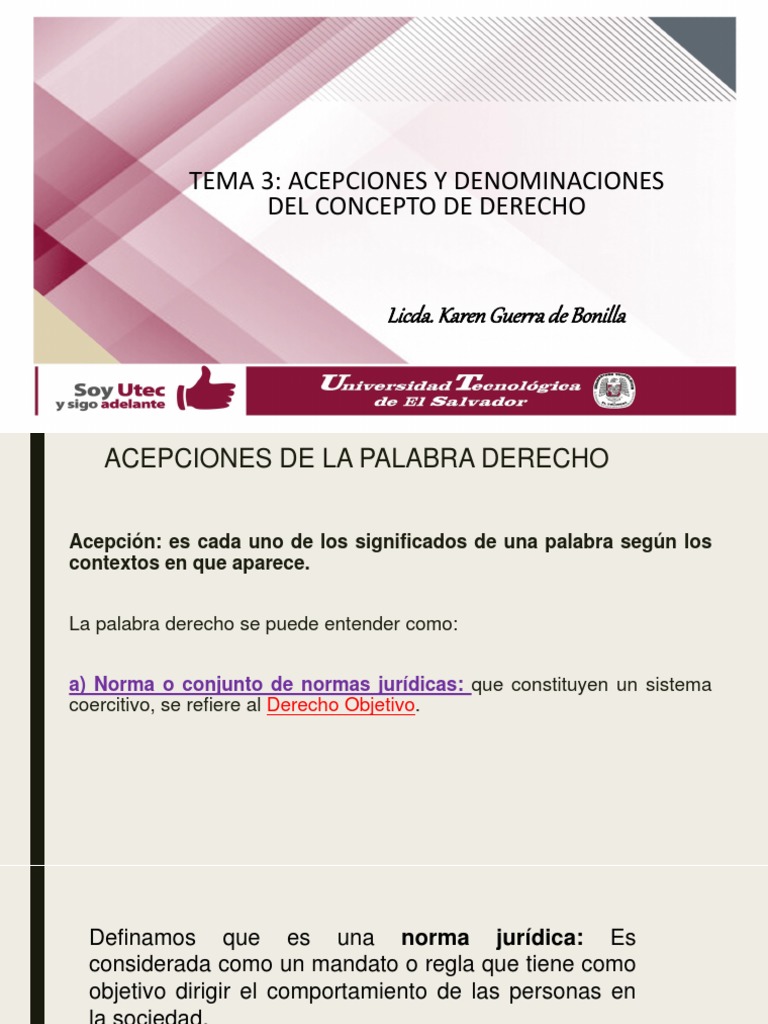 Acepciones de La Palabra Derecho PDF Ley procesal Derechos