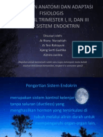 Perubahan Anatomi Dan Adaptasi Fisiologis