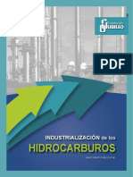Industrializacion_hidrocarburos